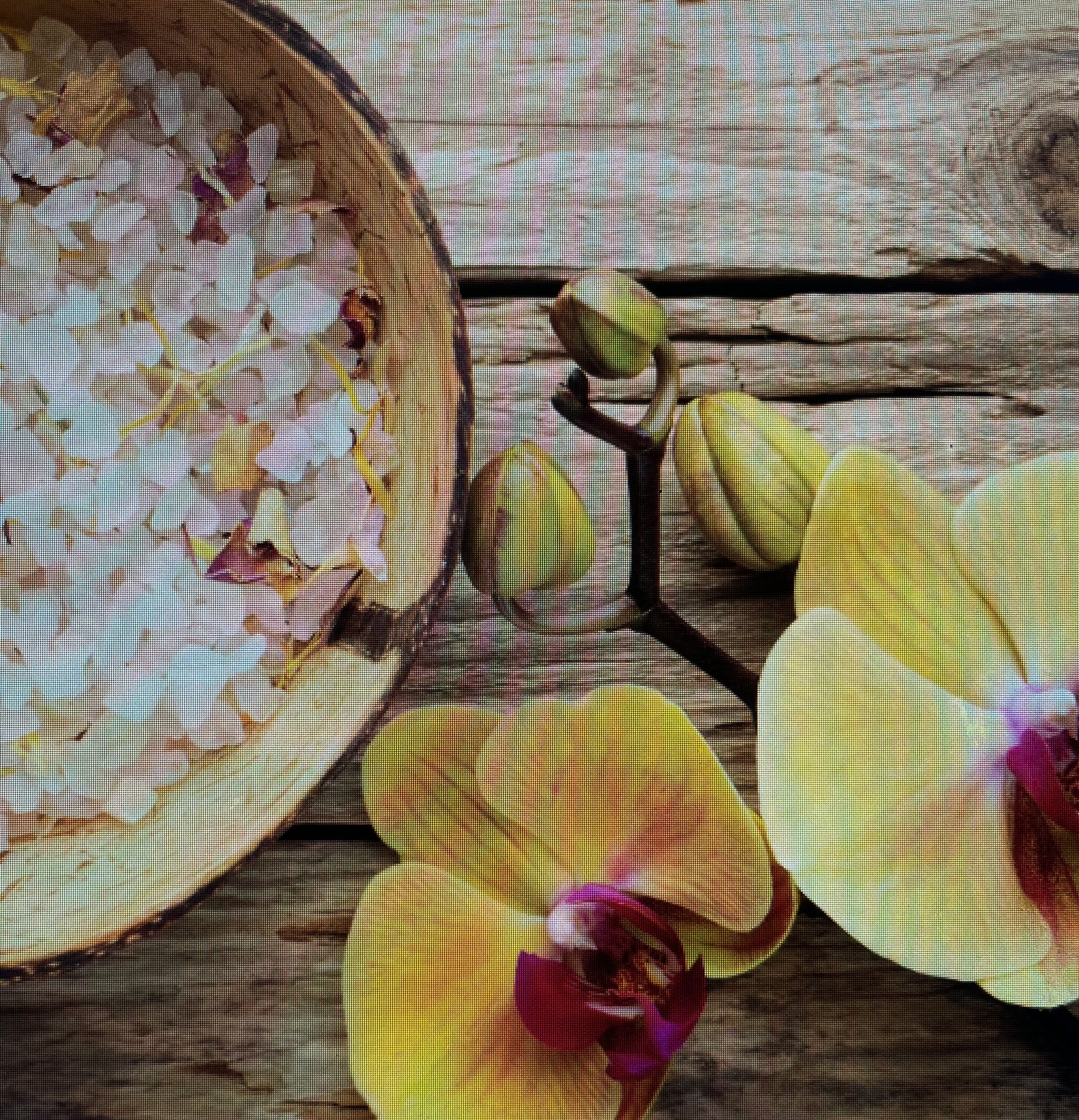 10oz Modern Luxe Ceramic Wooden Wick Candle Orchid Spring