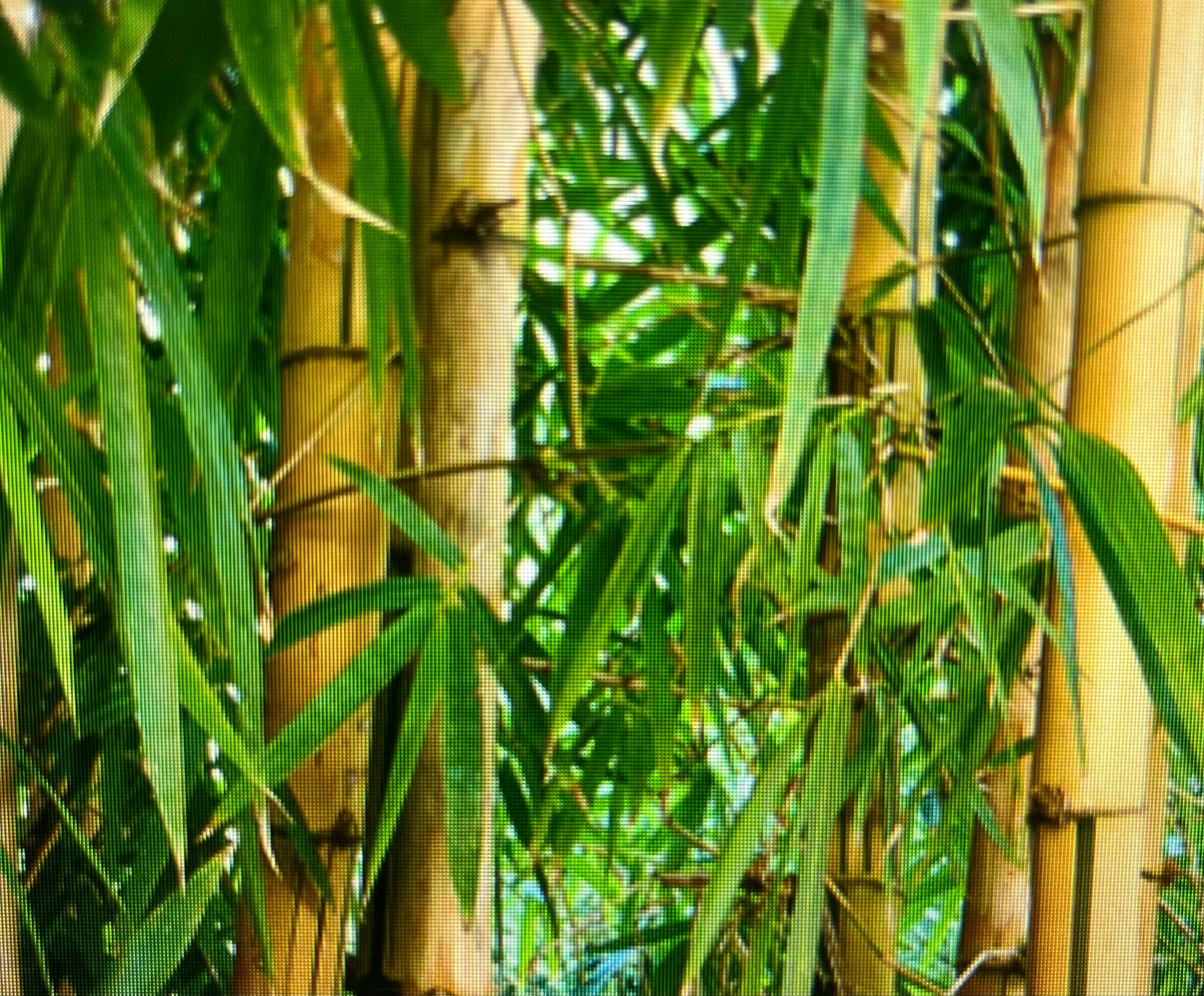 10oz Modern Luxe Ceramic Wooden Wick Candle Hotel Collection